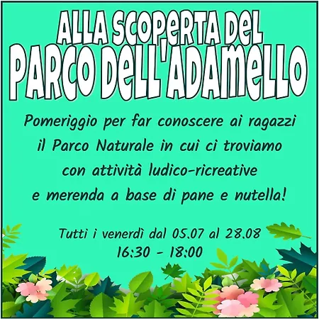 Presanella Mountain 4*