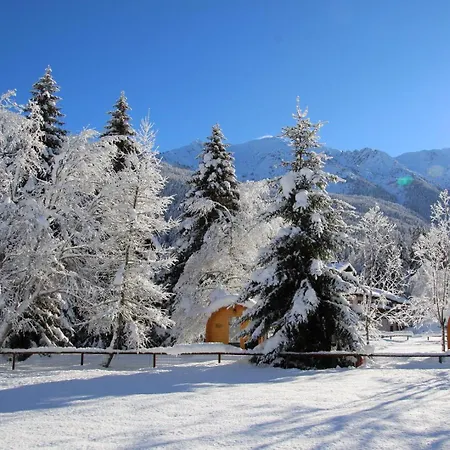 Presanella Mountain Campsite Temu