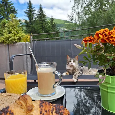 Campingplatz Presanella Mountain 4*