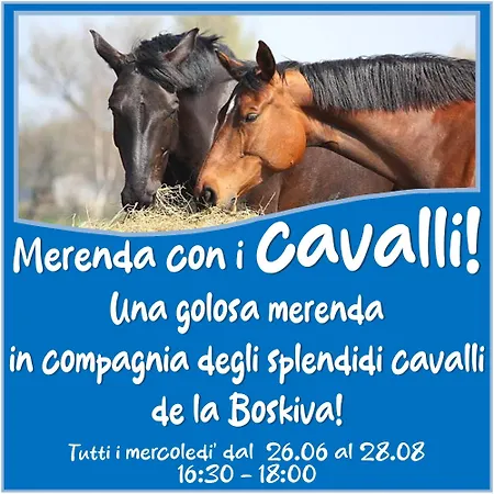 Presanella Mountain 4* Temù